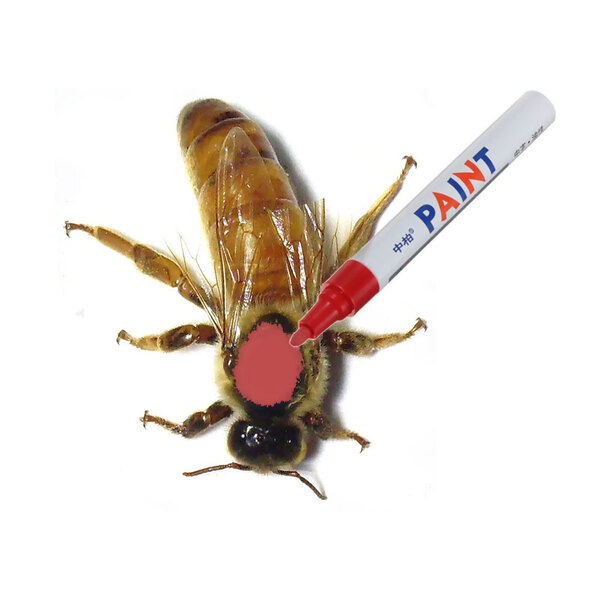 Маркер для метки маток